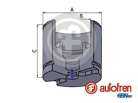 Seinsa Autofren D025256 Поршень тормозного суппорта| перед |