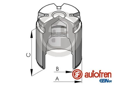 Seinsa Autofren D025124 Поршень тормозного суппорта | зад |