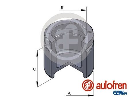 Seinsa Autofren D025458 Поршень тормозного суппорта | перед |