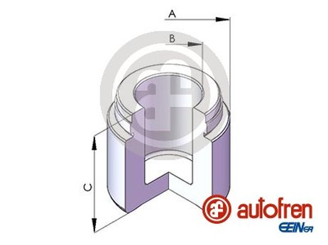 Seinsa Autofren D025485 Поршень тормозного суппорта | перед |