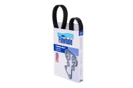 Finwhale BD113x25 Ремень ГРМ