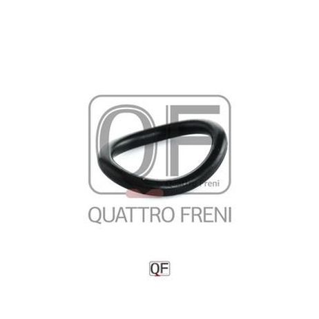 Quattro Freni QF53A00001 Кольцо уплотнительное свечного колодца