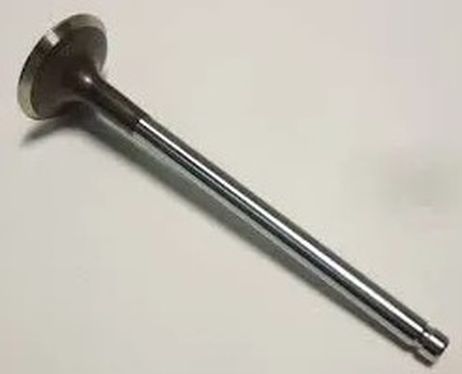 Daewoo 25192555 Клапан выпускной, daewoo