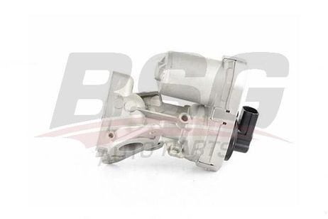 BSG bsg 70-836-004 Клапан ЕГР