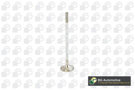 BGA V016840 Клапан 25.5x5x110.1 EX VAG 1.4 TSI (chpa, cpta) 12-