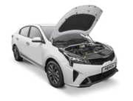 фото Hyundai/Kia R4500H0100 Амортизатор капота Hyundai/Kia R4500H0100 Амортизатор капота