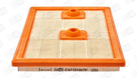Champion CAF101067P Фильтр