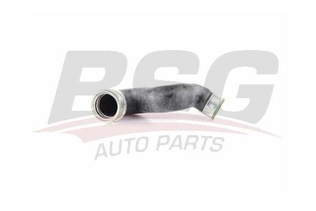 BSG BSG 90-720-081 Шлангопровод
