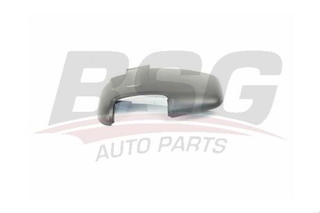 BSG BSG 30-915-023 Покрытие | лев |
