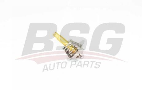 BSG BSG 60-125-004 Термостат