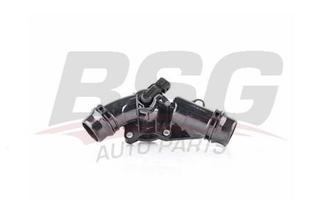 BSG BSG 15-126-008 Термостат