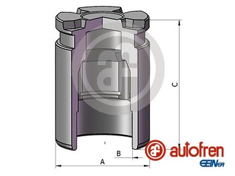 Seinsa Autofren D025542 Поршень тормозного суппорта | зад |