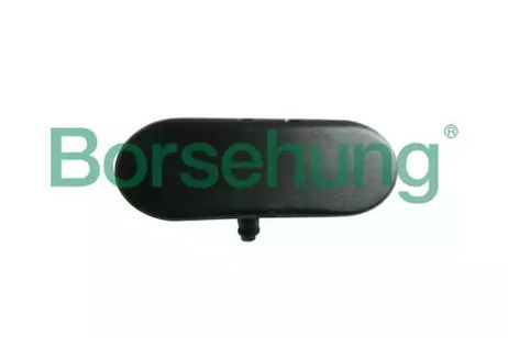 Borsehung B18497 Распылитель | прав |