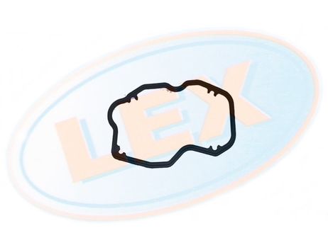 LEX PR-G1109 Прокладка клапанной крышки