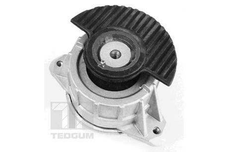 фото TEDGUM 00418476 Подушка ДВС TEDGUM 00418476 Подушка ДВС