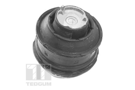 фото TEDGUM TED81021 Подушка ДВС TEDGUM TED81021 Подушка ДВС