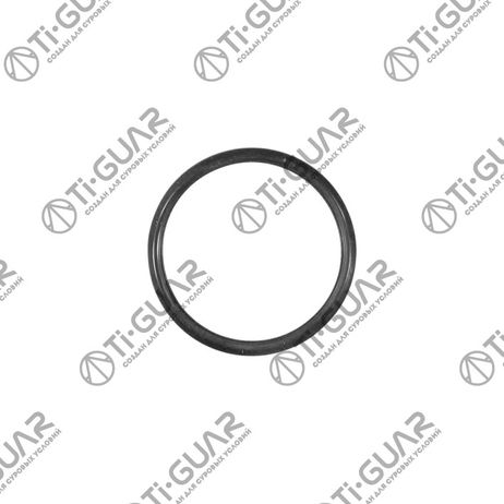 фото Ti-Guar TG-16341-56030 Прокладка термостата Ti-Guar TG-16341-56030 Прокладка термостата