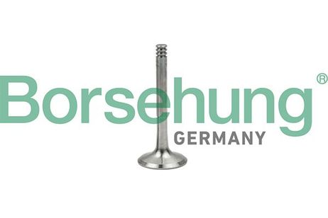 Borsehung B18997 Клапан выпускной