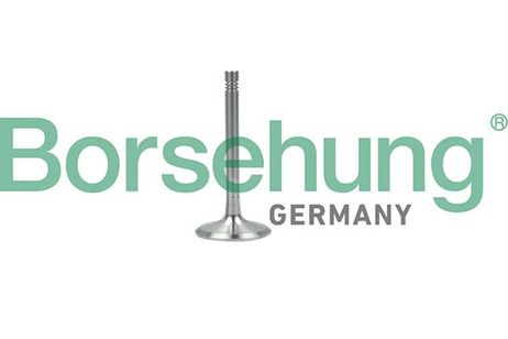 Borsehung B19001 Клапан выпускной