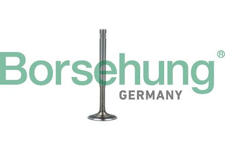 Borsehung B19010 Клапан выпускной