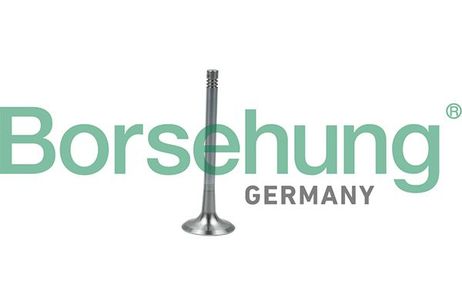Borsehung B19011 Клапан выпускной