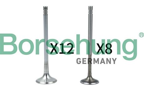 Borsehung B18636 Комплект клапанов 12+8