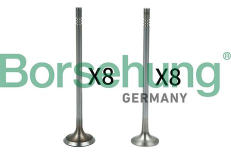 Borsehung B18632 Комплект клапанов 8+8