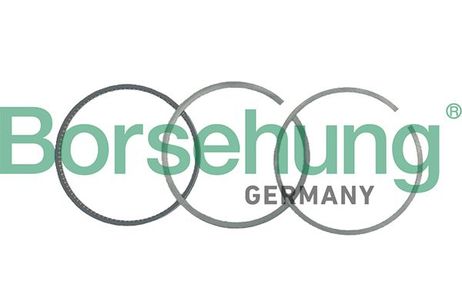 Borsehung B19038 Кольца поршневые, комплект