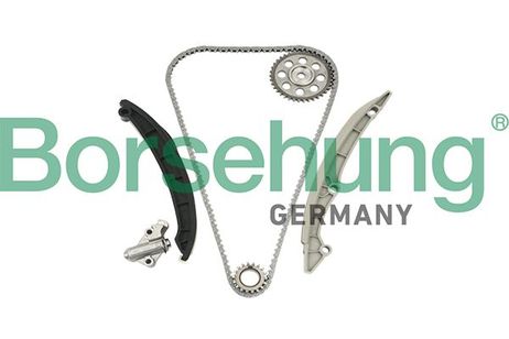 Borsehung B18960 Комплект цепи ГРМ