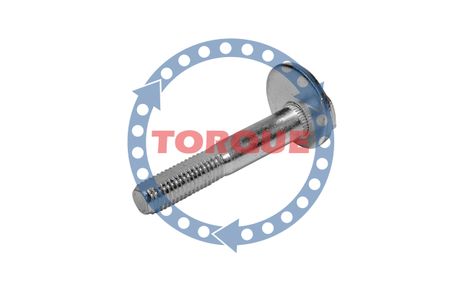 фото Torque CP002 Болт эксцентриковый Torque CP002 Болт эксцентриковый