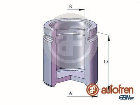 Seinsa Autofren D025732 Поршень тормозного суппорта | перед |