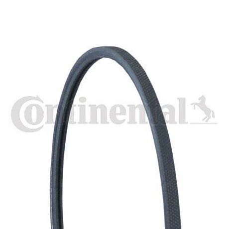 фото CONTINENTAL CTAM 2PJ800 Belt CONTINENTAL CTAM 2PJ800 Belt