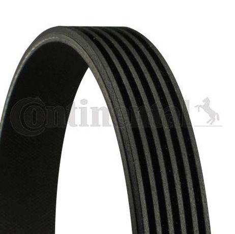 CONTINENTAL CTAM 6PK1015 Belt