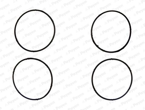 Payen JD6095 Seal / Gasket