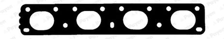 Payen JD6098 Seal / Gasket