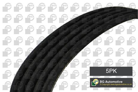 BGA 5PK1135 Belt