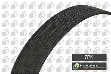BGA 7PK1795 Belt
