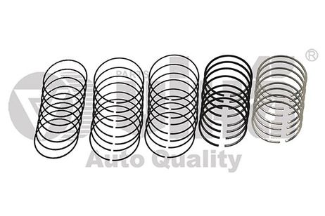 Vika 11981631901 Ring Kit