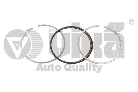 Vika 11981632001 Ring Kit