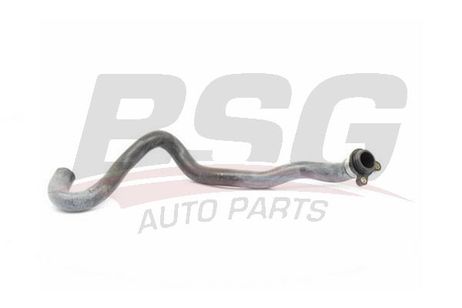 BSG BSG 15-720-065 Hose Line