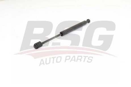 BSG BSG 15-980-014 Gas Spring