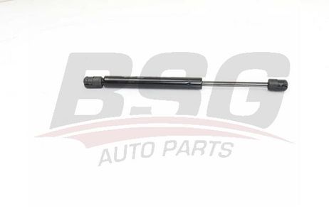 BSG BSG 15-980-017 Gas Spring