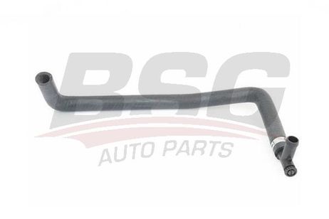 BSG BSG 25-720-029 Hose Line