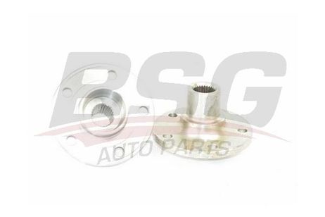 BSG BSG 30-325-034 Wheel Hub | перед прав/лев |