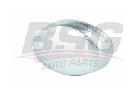 BSG BSG 40-122-002 Plug