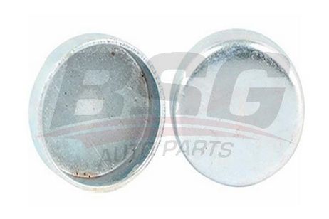 BSG BSG 40-122-004 Plug