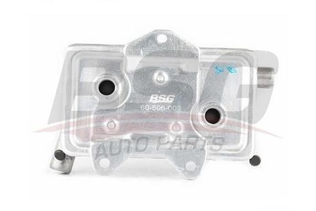 BSG BSG 60-506-003 Heat Exchanger