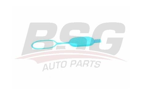 BSG BSG 60-551-001 Closure