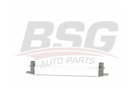 BSG BSG 70-535-002 Heat Exchanger