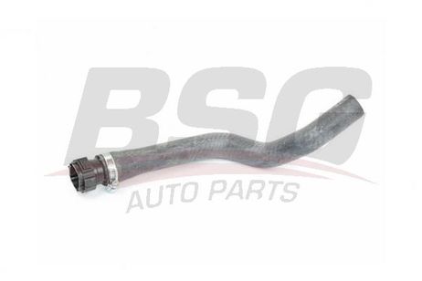 BSG BSG 75-720-002 Hose Line
